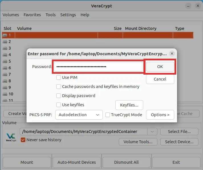 veracrypt mounting volume step 3